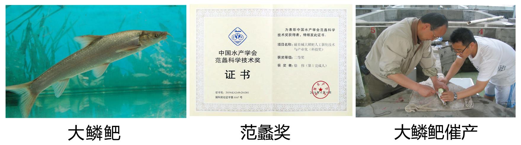 19D84 19D84