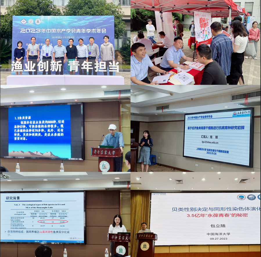 1696744095195087210.png 截圖_選擇區域_20231008142204.png