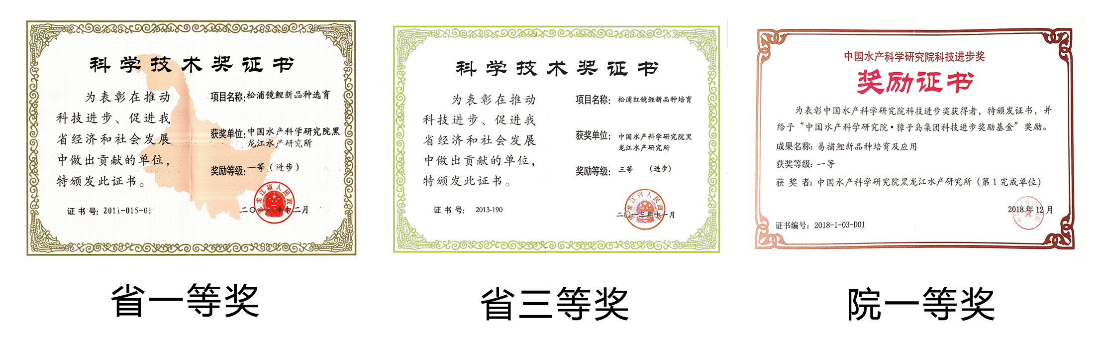 CEF03